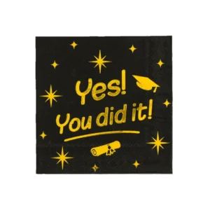 Passed lautasliinat Musta Kulta Yes You Dit It! 19cm 16kpl