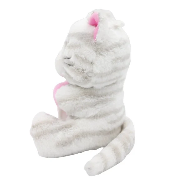 Kissa Ilmapallo Paino Hug 170gr