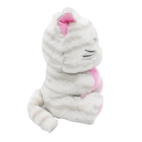 Kissa Ilmapallo Paino Hug 170gr