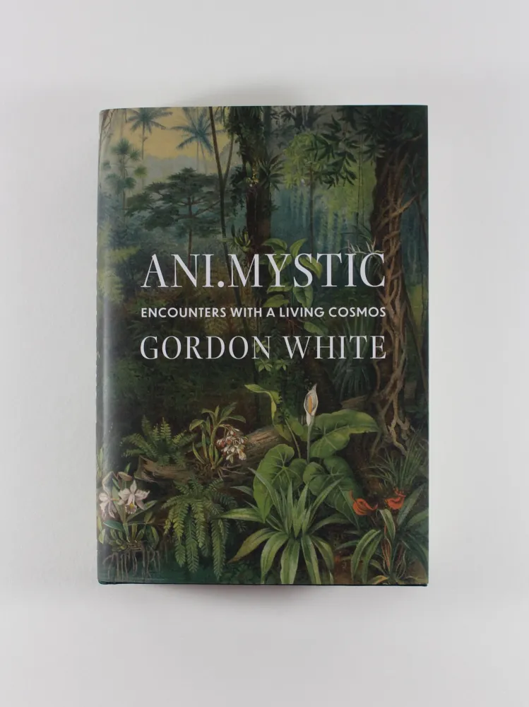 Ani.Mystic - Gordon White