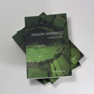 Avalon Working - Mark Nemglan