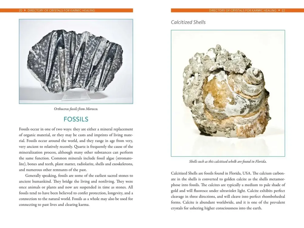 Crystals karmic healing - transform your future releasing your past - Nicholas Pearson