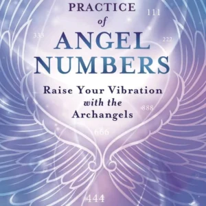 Divine Practice Angel Numbers: Raise Your Vibration Archangels - Leeza Robertson
