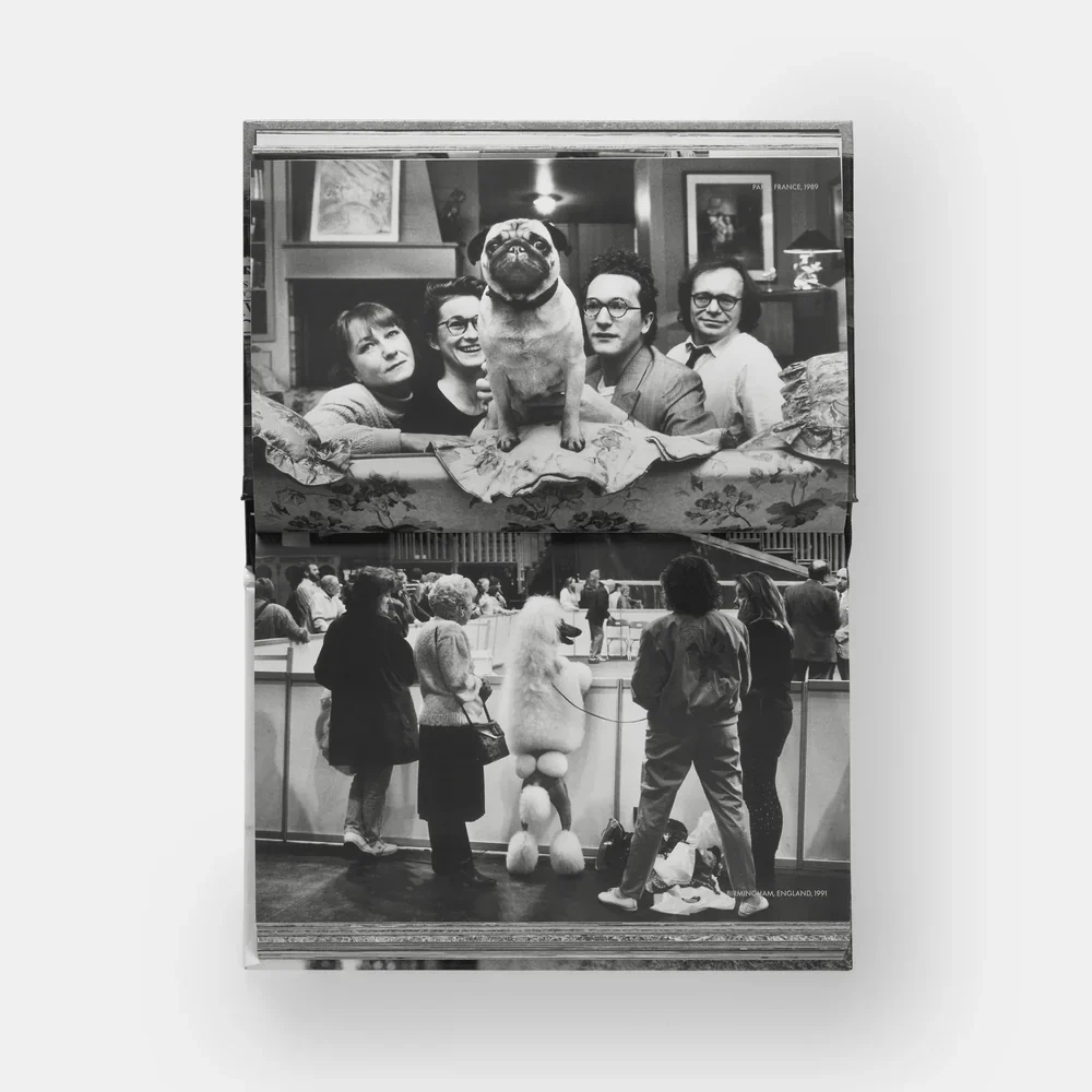 DogDogs Book