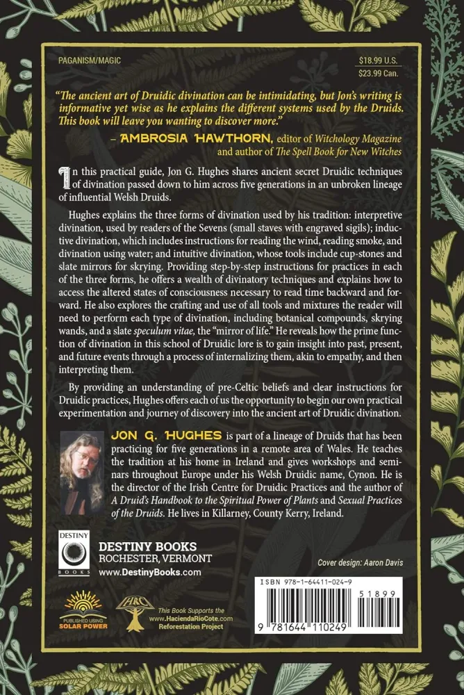 Druidic Art Divination: Understanding Past and Seeing into Future - Jon G. Hughes