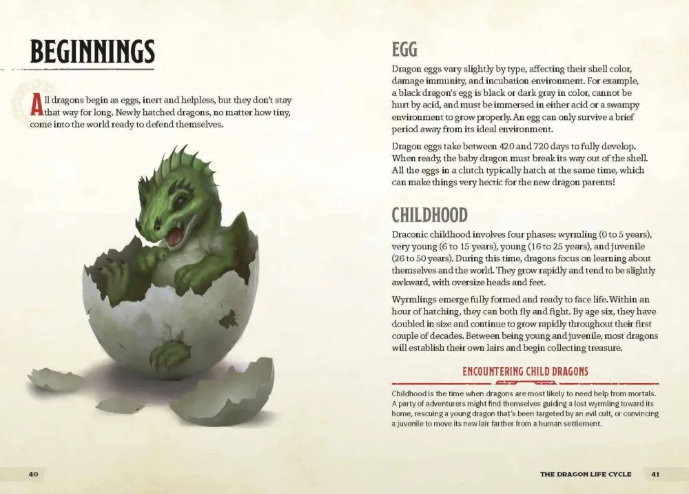 Dungeons & Dragons Dragons & Treasures - Zub Jim