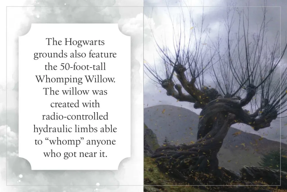 Harry Potter: Hogwards Minikirja (4.3 x 5.4 x 2 cm)