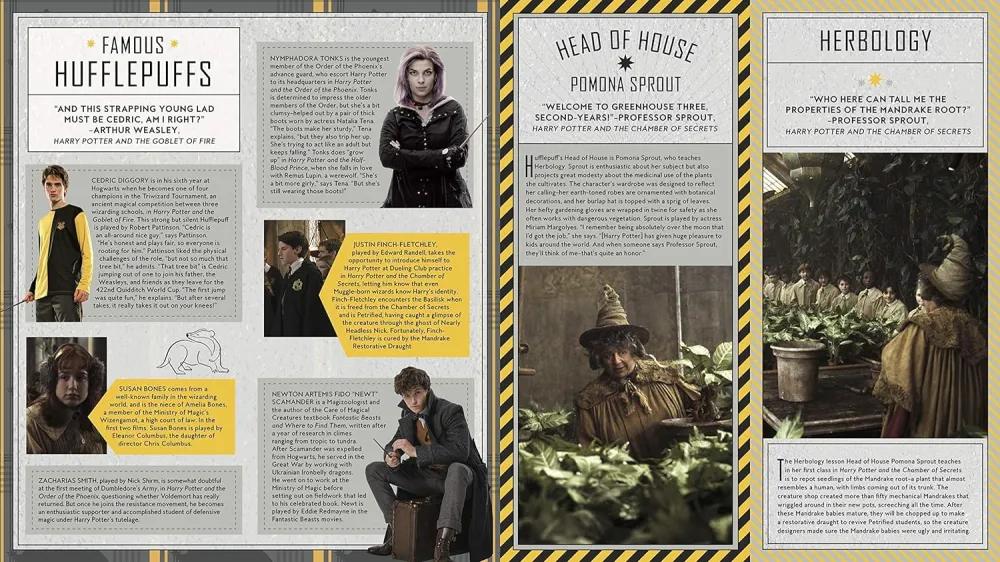Harry Potter: Hufflepuff Magic - Artifacts from Wizarding World - Titan Books Ltd