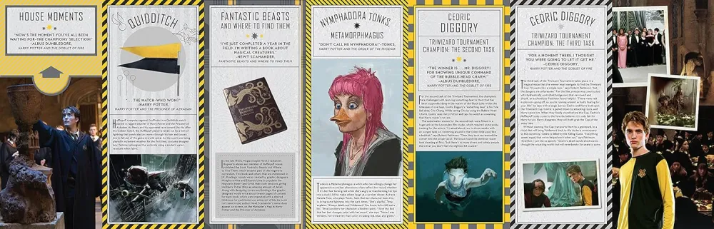 Harry Potter: Hufflepuff Magic - Artifacts from Wizarding World - Titan Books Ltd