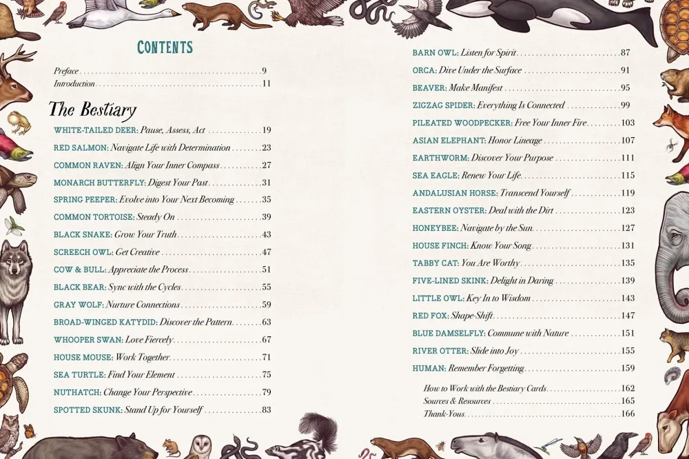 Illustrated Bestiary: Guidance and Rituals from 36 Inspiring Animals - Maia Toll