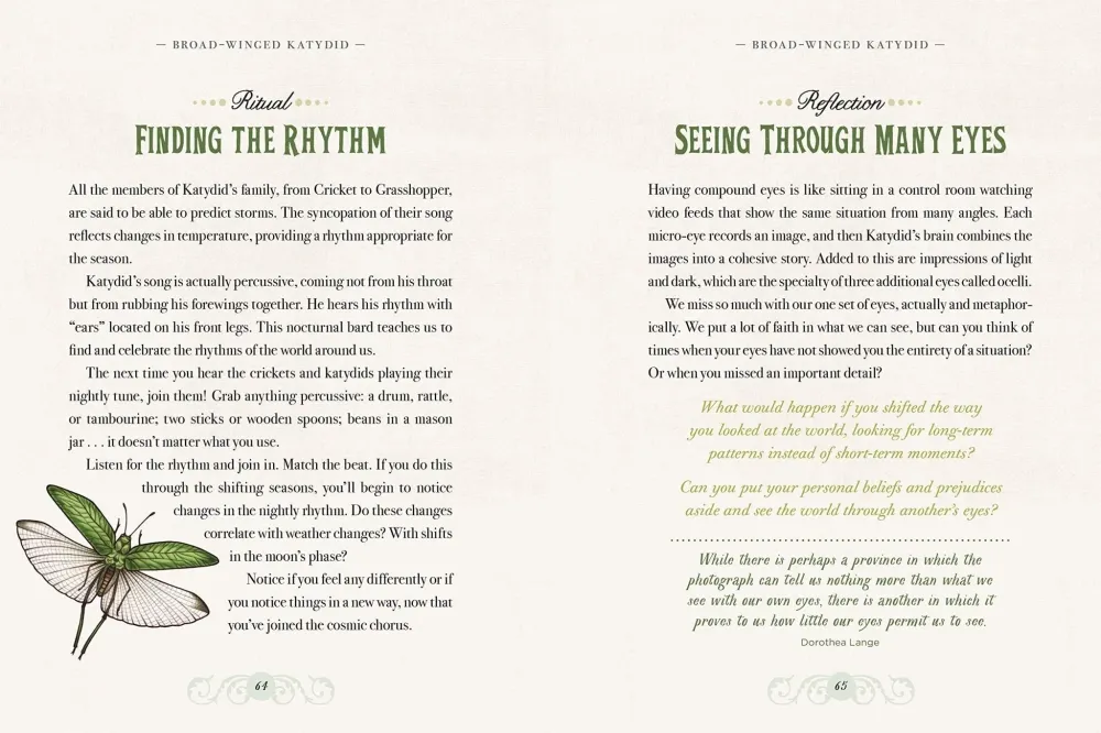 Illustrated Bestiary: Guidance and Rituals from 36 Inspiring Animals - Maia Toll
