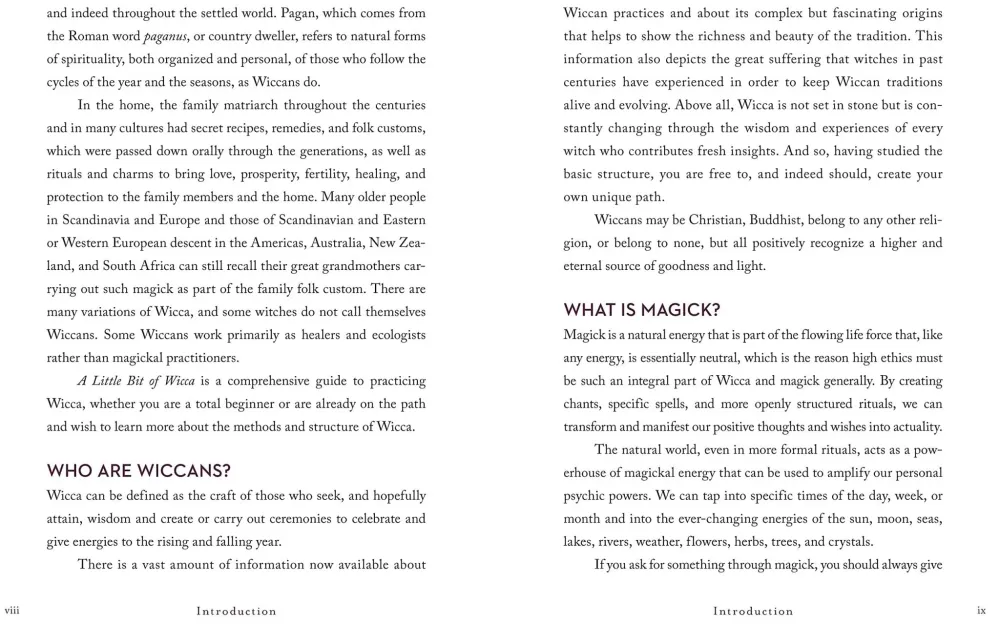 Little Bit Wicca: Introduction to Witchcraft – Cassandra Eason