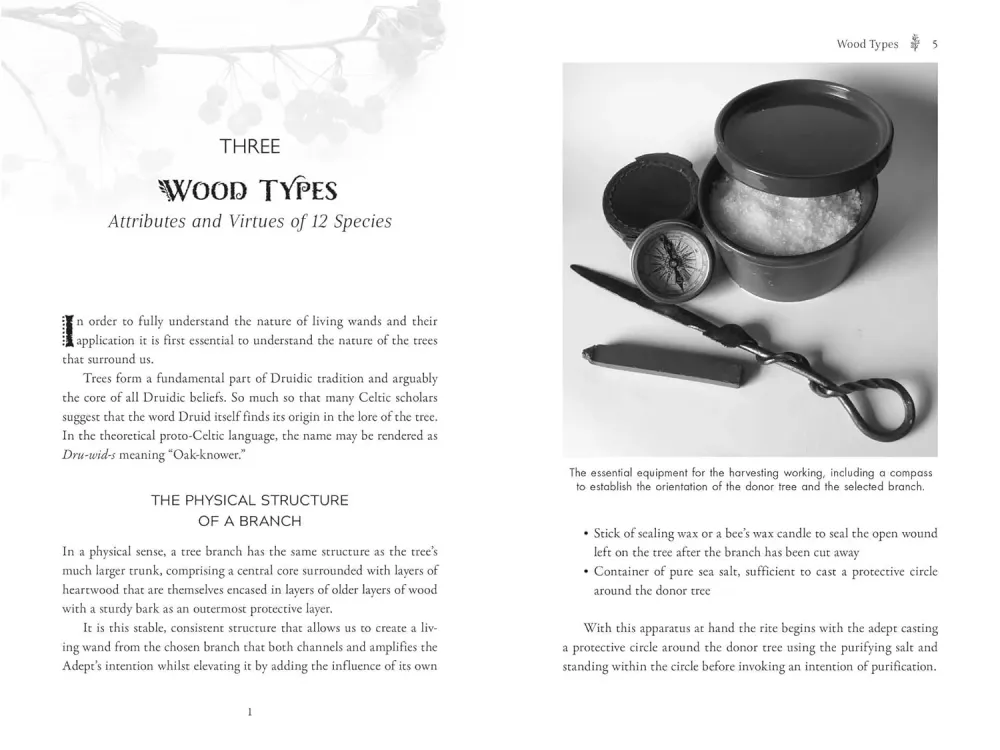Living Wands Druids: Harvesting, Crafting, and Casting Magical Tools - Jon G. Hughes