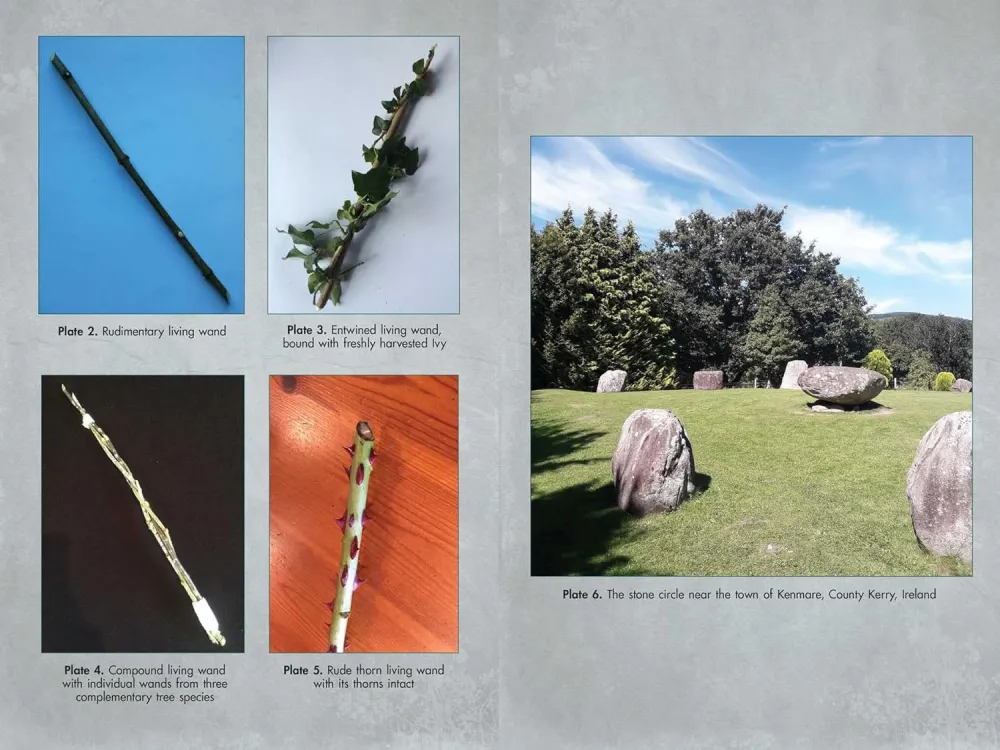 Living Wands Druids: Harvesting, Crafting, and Casting Magical Tools - Jon G. Hughes