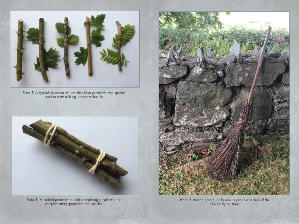 Living Wands Druids: Harvesting, Crafting, and Casting Magical Tools - Jon G. Hughes