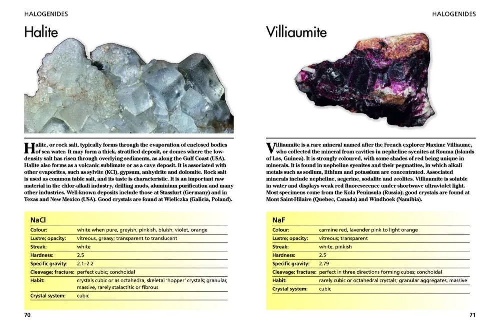 Minerals and Gemstones: 300 Earth's Natural Treasures - David C Cook