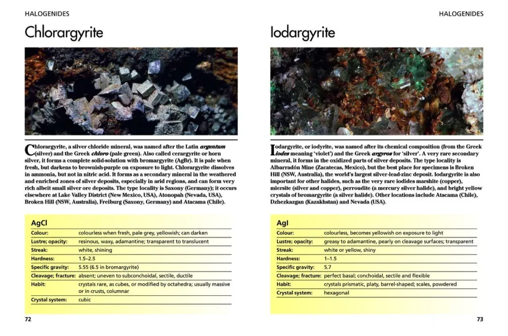 Minerals and Gemstones: 300 Earth's Natural Treasures - David C Cook