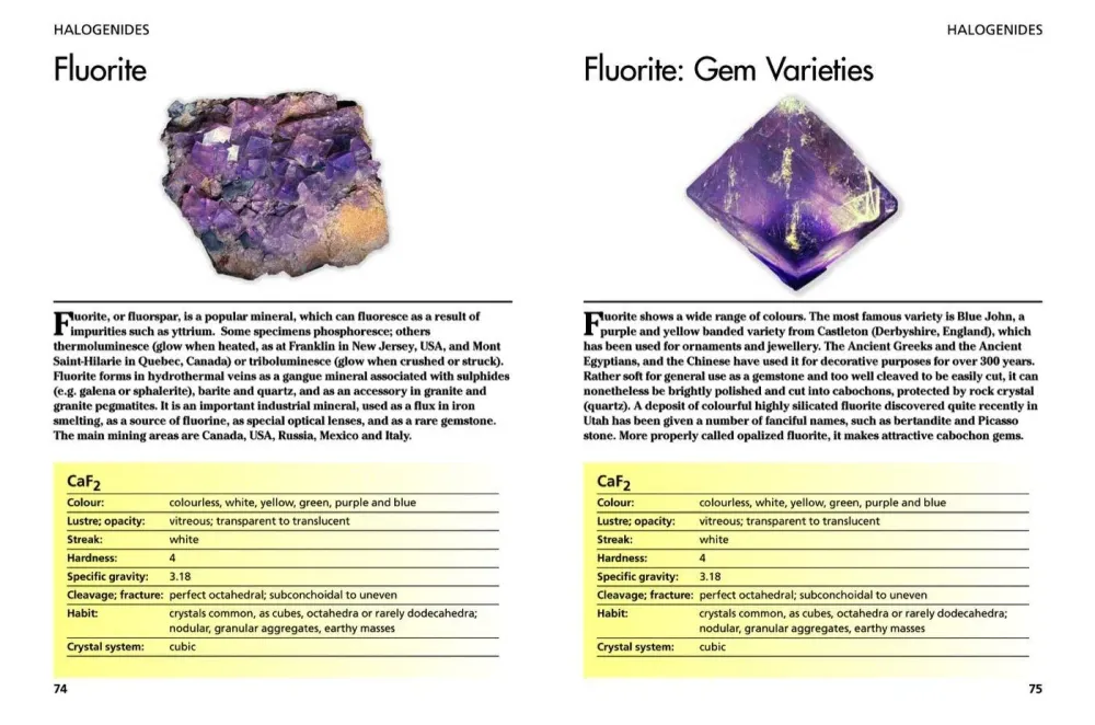 Minerals and Gemstones: 300 Earth's Natural Treasures - David C Cook