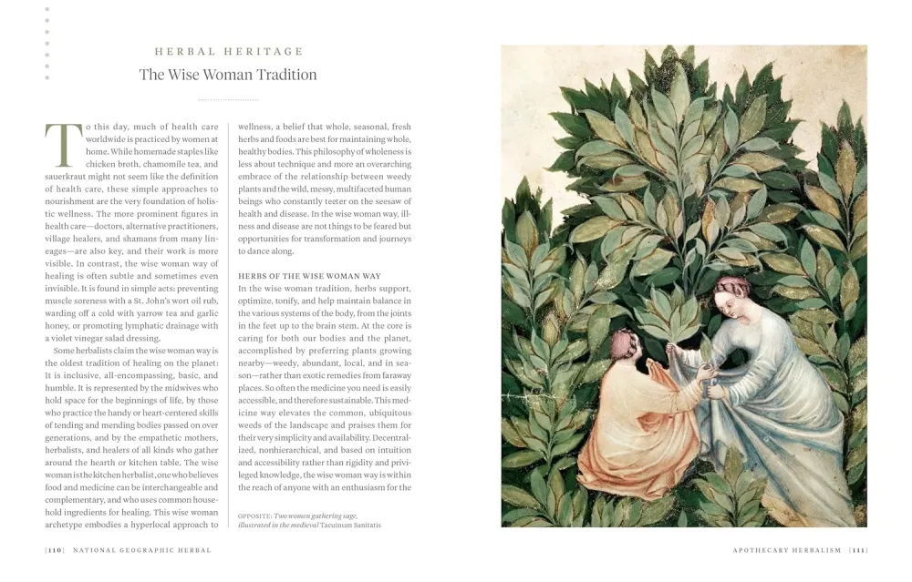 National Geographic Herbal: 100 Herbs From World's Healing Traditions - Mimi Prunella Hernandez