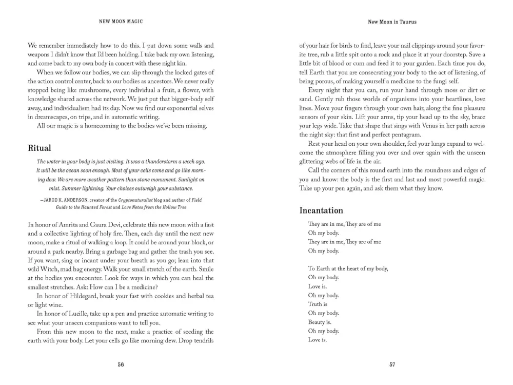 New Moon Magic: 13 Anti-Capitalist Tools Resistance and Re-Enchantment - Risa Dickens, Amy Torok