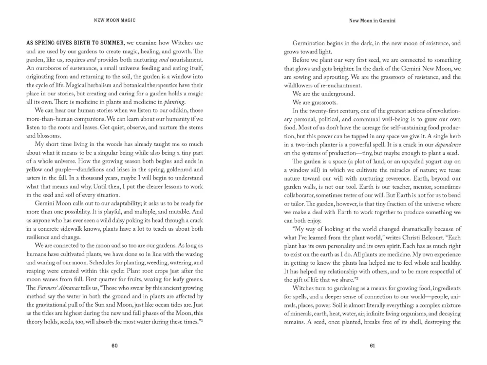 New Moon Magic: 13 Anti-Capitalist Tools Resistance and Re-Enchantment - Risa Dickens, Amy Torok