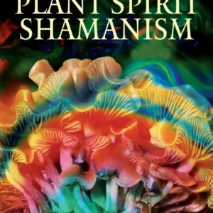 Plant Spirit Shamanism: Traditional Techniques Healing Soul - Ross Heaven