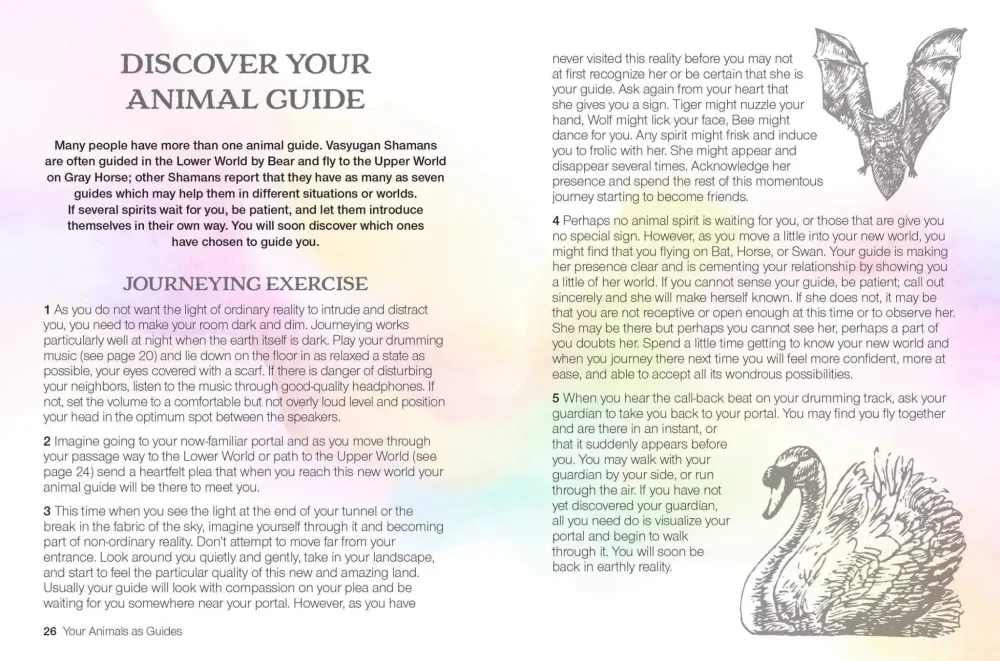 Teachings from Our Animal Spirit Guides: Harness power animals to liberate your spirit - Susie Green