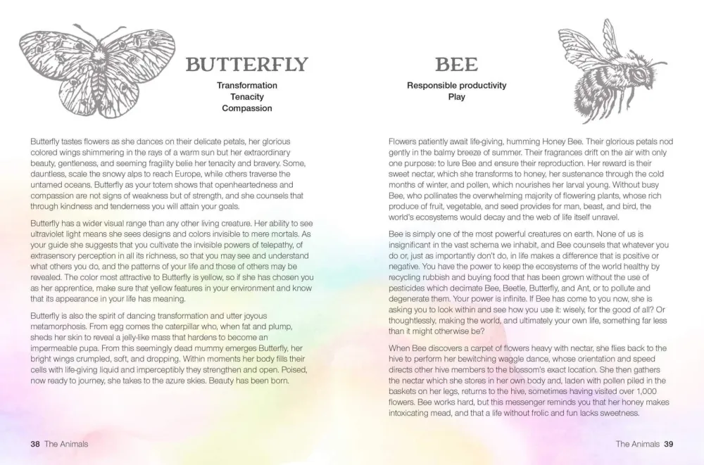 Teachings from Our Animal Spirit Guides: Harness power animals to liberate your spirit - Susie Green