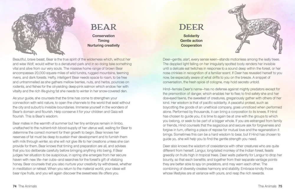 Teachings from Our Animal Spirit Guides: Harness power animals to liberate your spirit - Susie Green