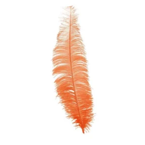 Oranssit strutsinsulat 40cm 12kpl