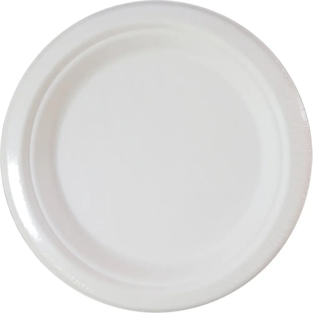 Valkoiset lautaset 23cm 10kpl