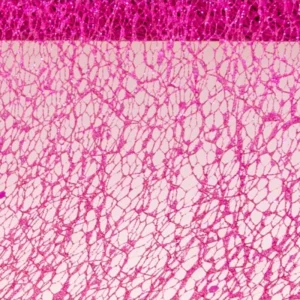 Fuksia hunajakenno nauha glitter 5m