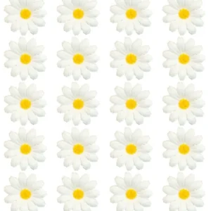20 KORISTEELLISEN PÄIVÄNKAKKARAN SARJA
