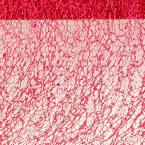 Punainen hunajakennonauha Glitter 5m