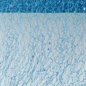 Sininen hunajakennonauha Glitter 5m