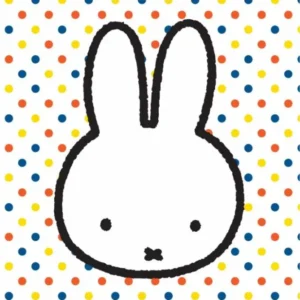Miffy jakopussit 23cm 6kpl