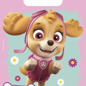 Paw Patrol jakopussit Skye ja Everest 23cm 6kpl 6kpl