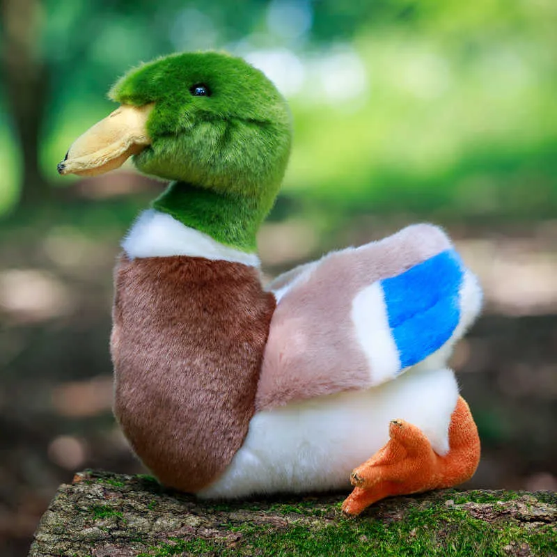 Animigos Mallard Duck pehmolelu