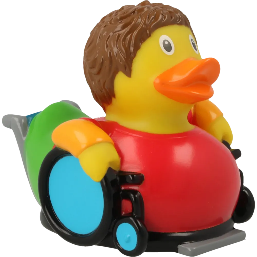 Ankka pyörätuoli
