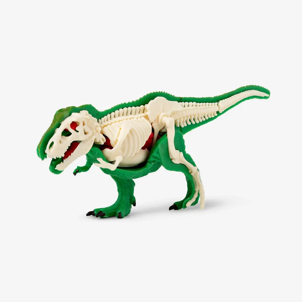 DIY 3D anatominen T-Rex palapeli