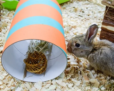 Happy Pet Willow -etupakkaus, 2 tikkua / 2 palloa