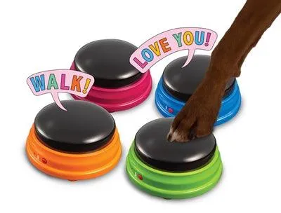 Hung Words Talking Pet Starter Set – Aloita kommunikointi koirasi kanssa