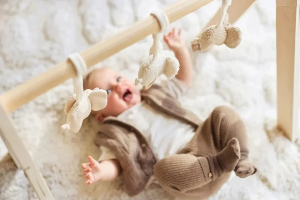 Jollein Babygym lelut Elefantti tarinat