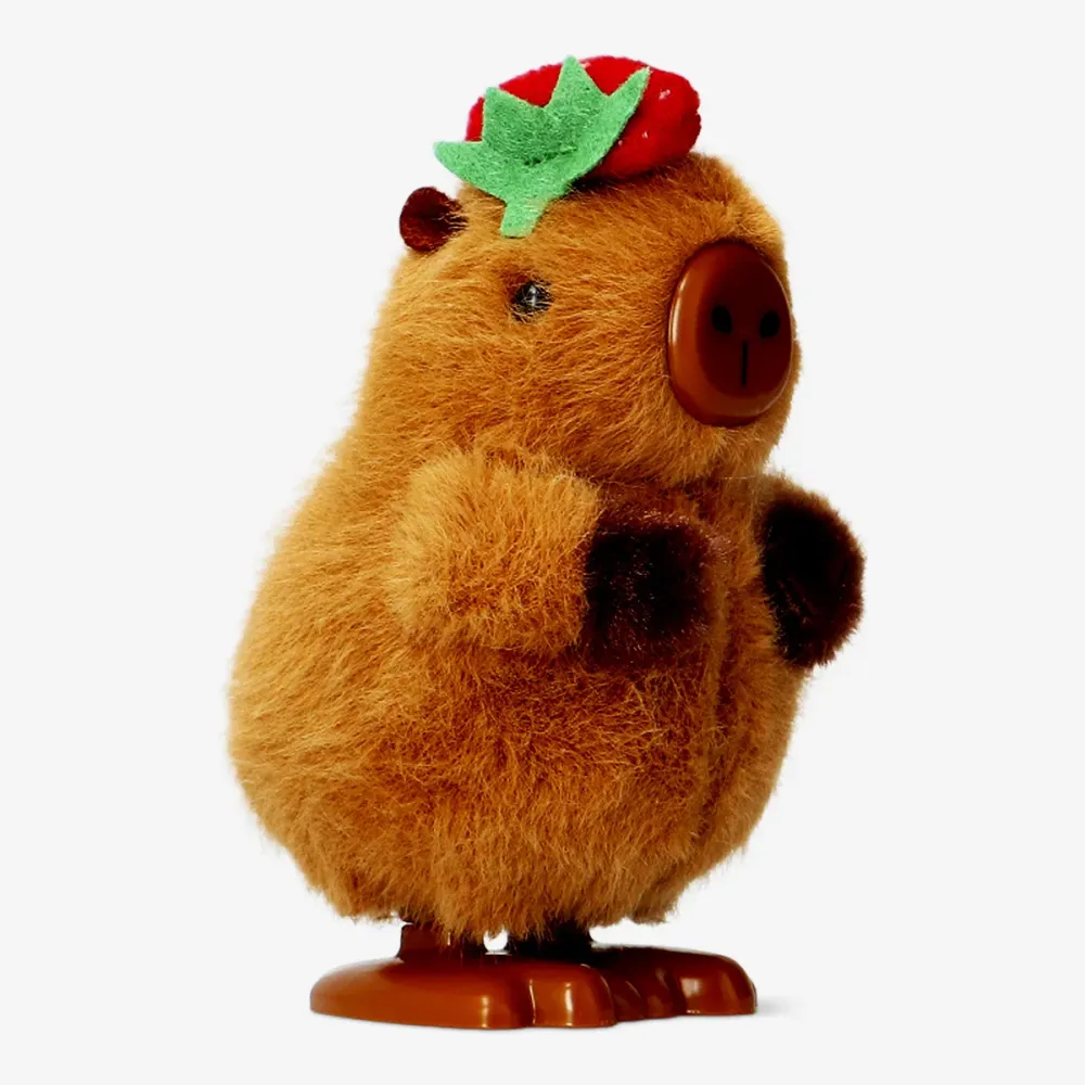Kela ylös capybara mansikkahattu kanssa