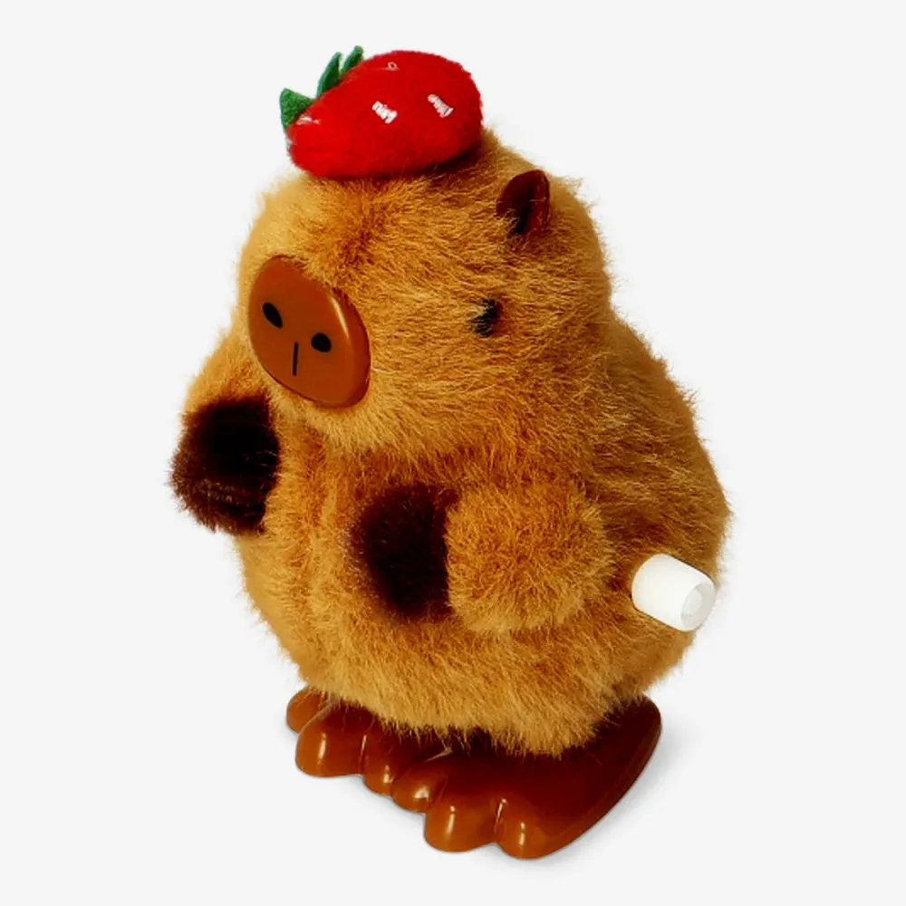Kela ylös capybara mansikkahattu kanssa