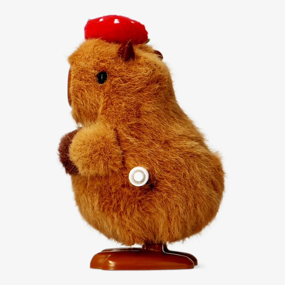 Kela ylös capybara mansikkahattu kanssa