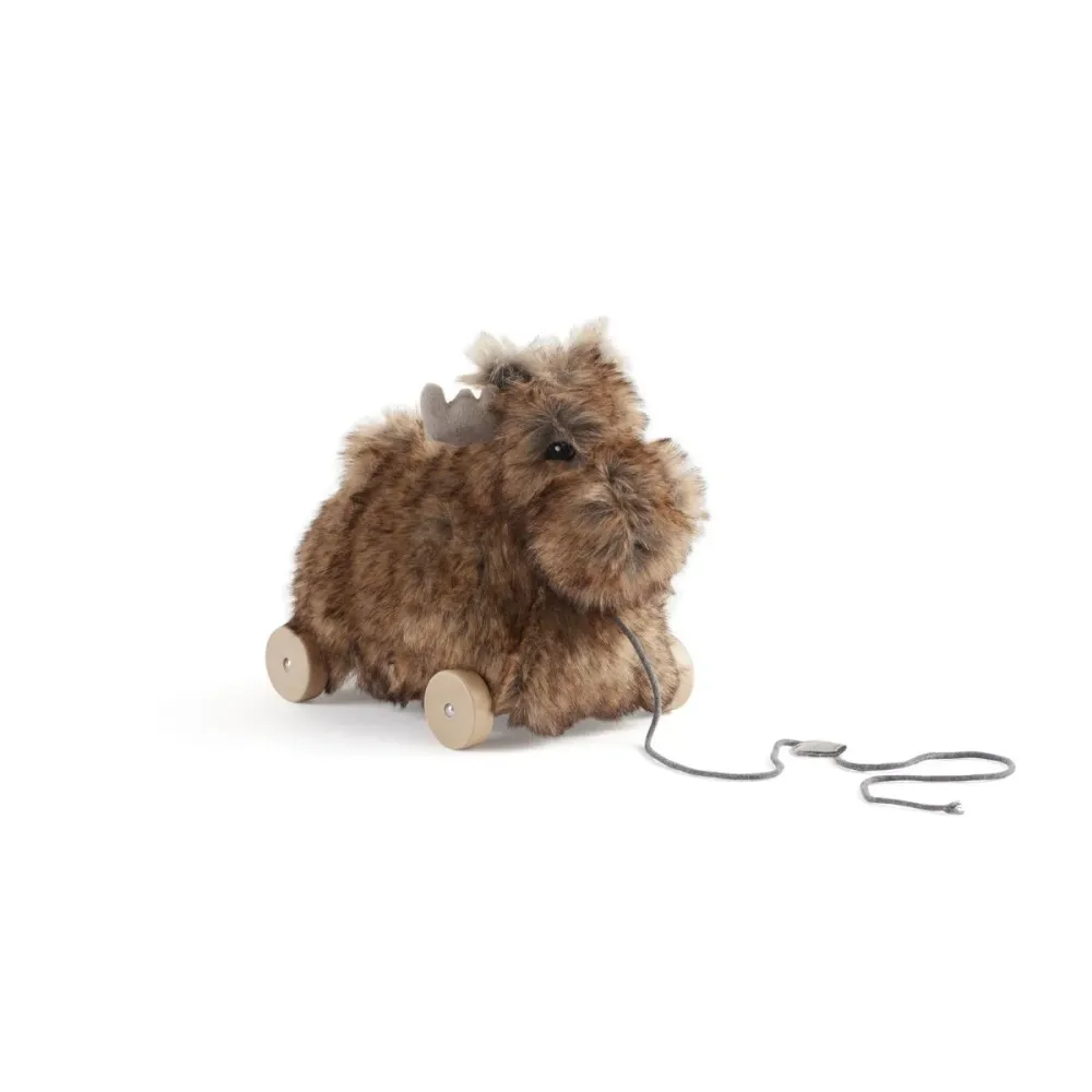 Kid's Concept Pull-along poro