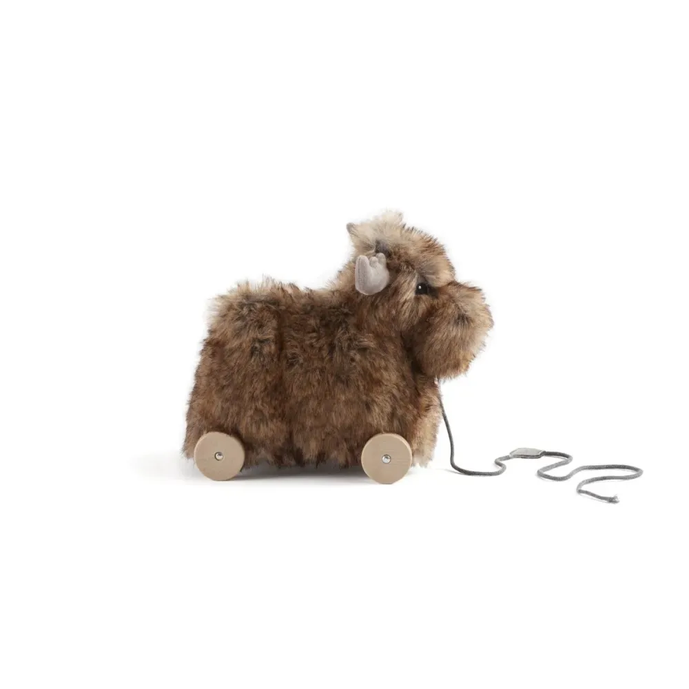 Kid's Concept Pull-along poro