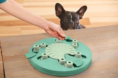 Koiratyöläinen Komposiitti - Haastava pulmalelu - 3 vaikeustasoa
