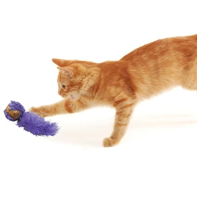 Kong Cat Active -korkkipallo, lajitelma